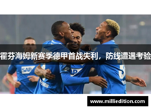 霍芬海姆新赛季德甲首战失利，防线遭遇考验